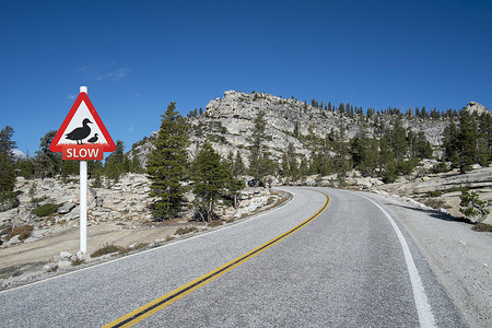 美国加利福尼亚州高速公路警告标志图片
