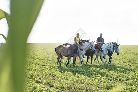 一对男女在草原上骑马领域高清图片素材