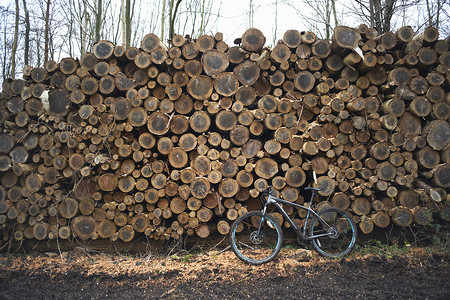 自行车靠着堆成的原木倾斜背景图片