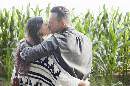在玉米植物田里夫妻亲吻的近景图片
