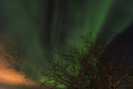 挪威特罗姆索北部极光图片