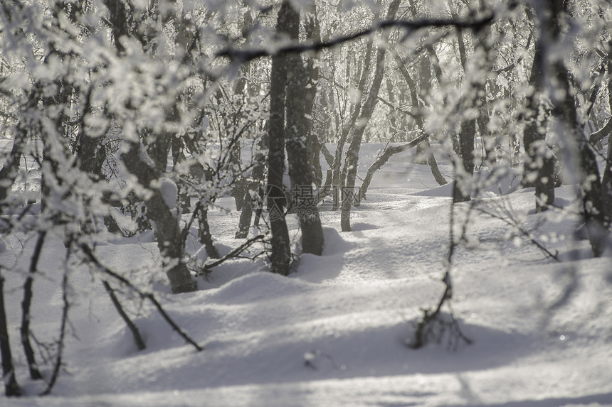 瑞典阿比斯科的雪景图片