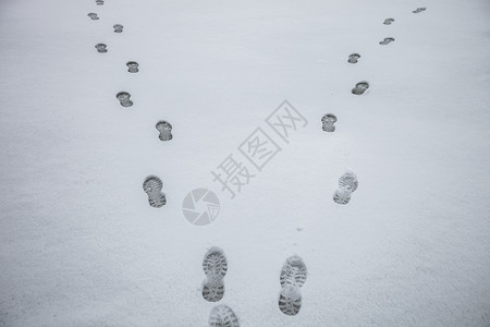 雪地景观中的脚印图片