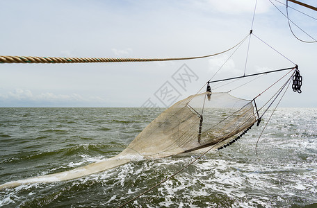 荷兰弗里斯兰瓦登泽海上渔船的塞纳渔网图片