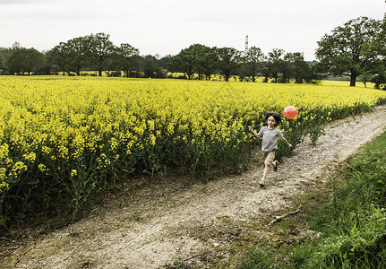男孩在黄花田径上奔跑拉着红气球图片