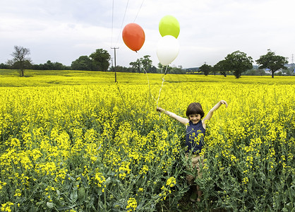 站在黄花田的男孩拿着红黄白气球背景图片
