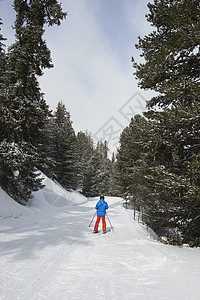 少年男孩滑雪的背影图片