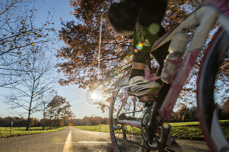 在阳光下骑自行车图片