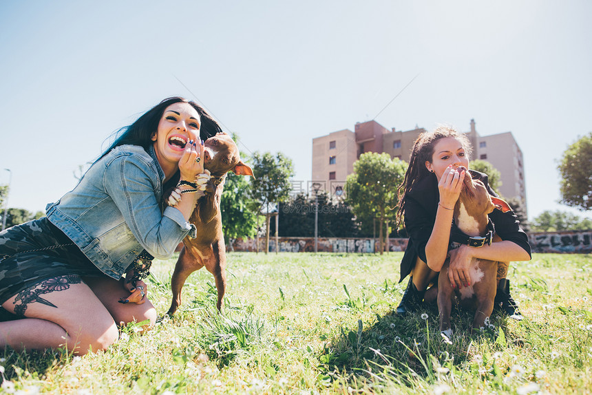 两名年轻妇女在城市公园跟斗牛犬一起玩耍图片