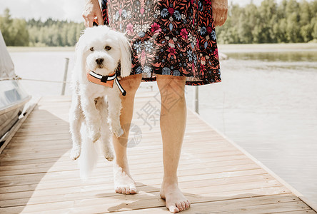 女子拎着小狗站在码头上图片