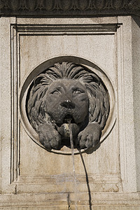 石雕狮子喷泉图片
