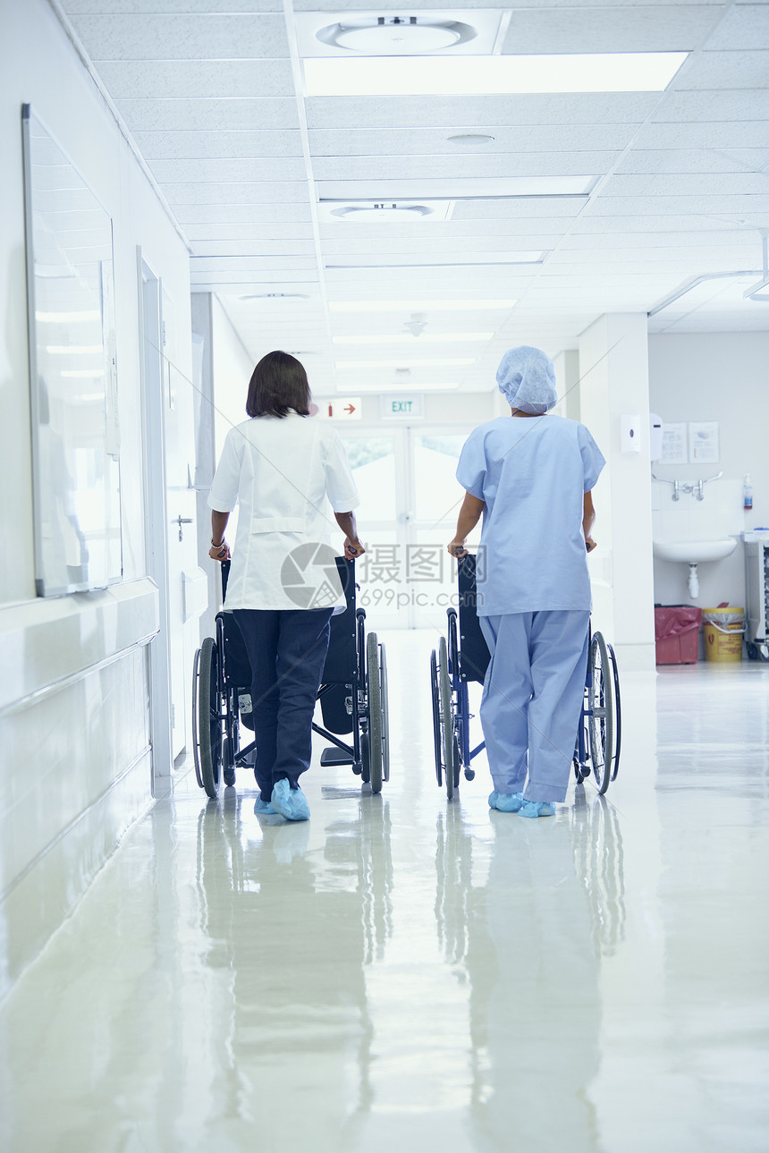 沿医院走廊推轮椅的女医生后视图图片