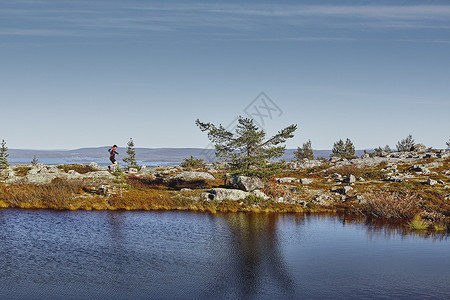 芬兰拉普兰萨基通图里湖岸上的人行小道图片
