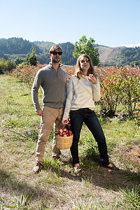 在有机农场果园中提着篮子摘苹果的成年夫妇背景图片