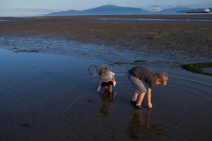 在加拿大不列颠哥伦比亚省温华海滩捡贝壳的儿童图片