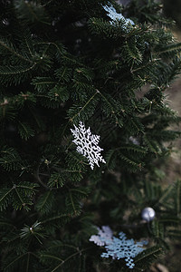 圣诞树上的纸雪花装饰背景图片