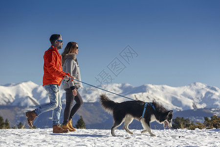 在雪中行走的一对夫妇遛狗图片