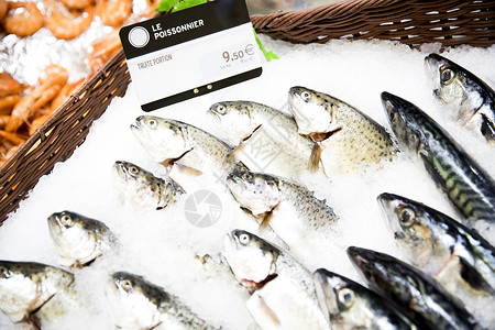 超市里冰冻的鱼背景图片