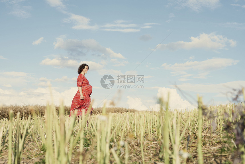孕妇在小麦田散步图片
