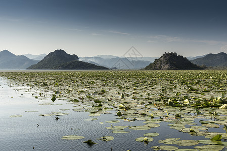 利利帕兹斯库塔里湖里耶卡克诺耶维卡黑山图片