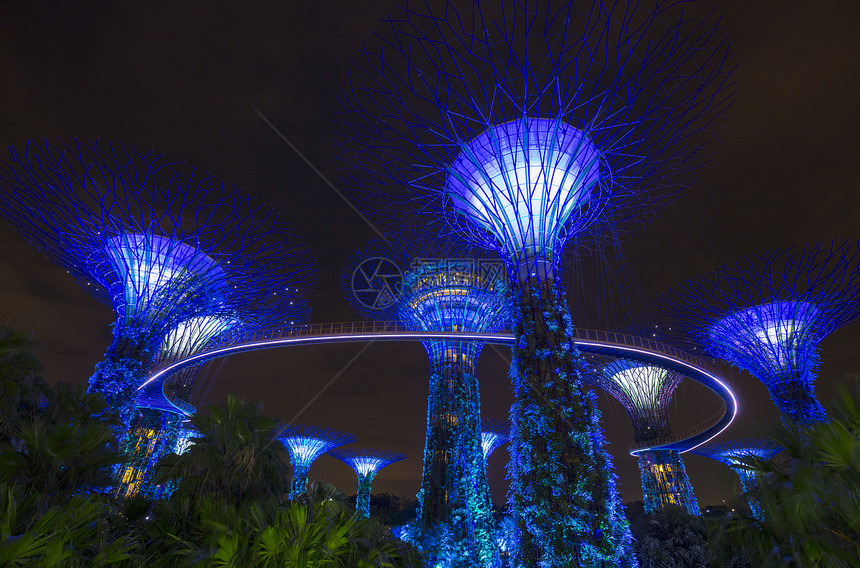 晚上蓝超级树林新加坡东南亚图片