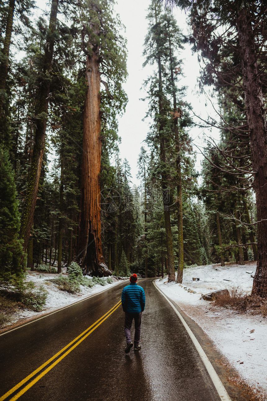 美国加利福尼亚州雪地塞科公园沿农村道路步行的男远足者图片