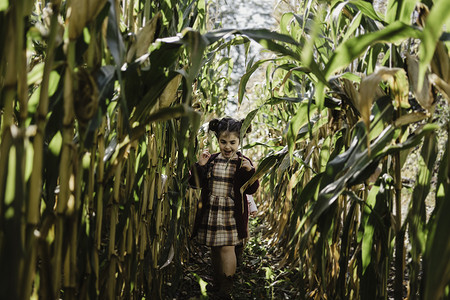 加拿大北美奥肖瓦玉米田的女童图片