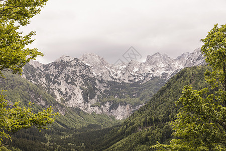 斯洛文尼亚布雷佐维卡莫齐耶森林河谷和山脉景观图图片