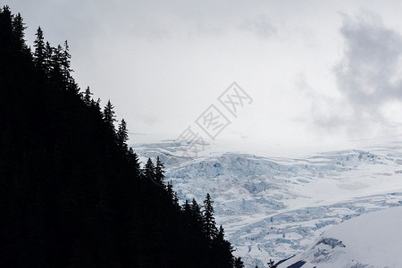 威廉夏尔王子冰川图片