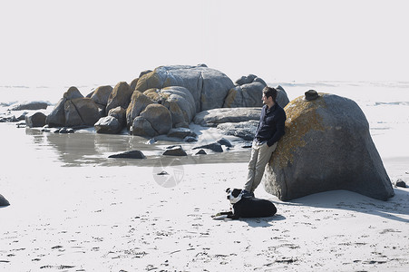南非西开普城敦南非西市海面仰食巨石的狗中年成男子图片