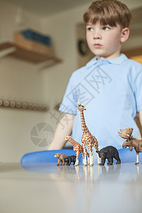 小学课堂上站在玩具动物后的小学生背景图片