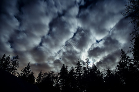 夜晚云层覆盖森林美国华盛顿宾布里奇图片