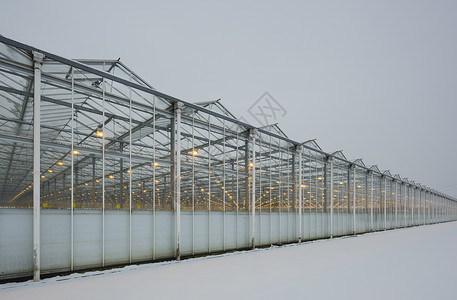 led雪花舞台背景使用LED灯温室背景