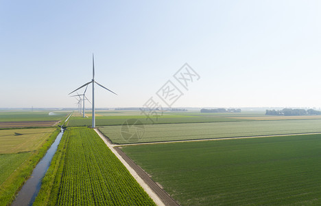 夏季约惠夏季风力农场涡轮机荷兰弗列沃Bitdinghuizen背景