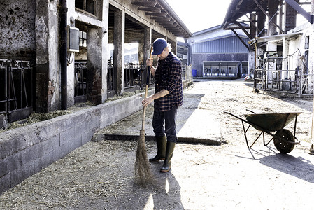 农场工人乳业扫农场院图片