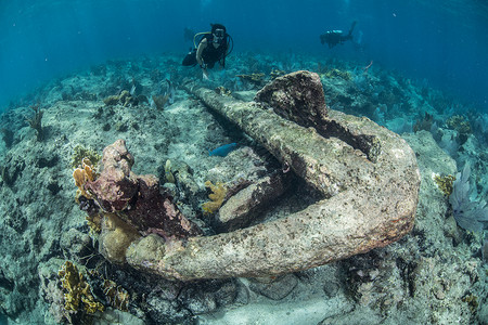 探索珊瑚礁生命和老沉船的探索者阿拉克兰斯墨西哥坎佩切背景图片