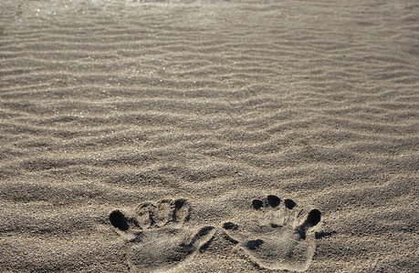 沙中的手印图片