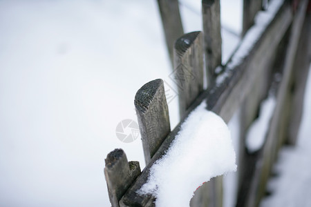 在栅栏上下雪图片