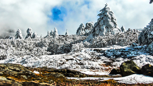 轿子山云南昆明轿子雪山冬日雪景背景