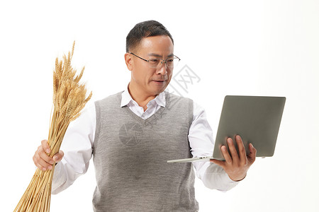 农业科研人员考察小麦田野高清图片素材