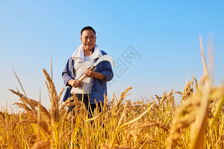 站在稻田里的农民形象劳动高清图片素材