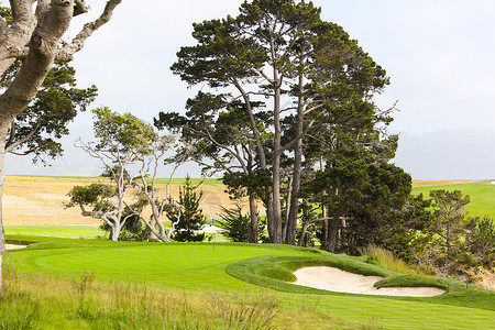 茂盛植物繁盛风景高尔夫球场图片
