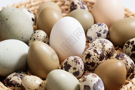 素材彩色图片卵筐里的鸡蛋鸭蛋鹌鹑蛋高清图片