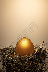 财富鸟窝里的金蛋图片