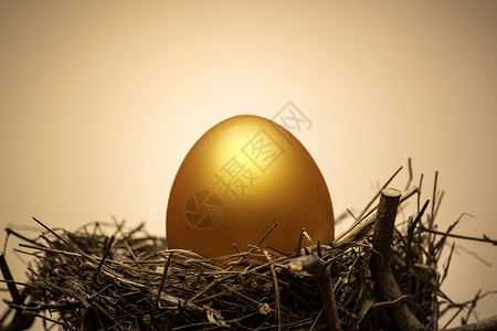 树杈上鸟窝里的金蛋背景图片