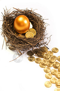 鸟窝里的金蛋和金币硬币高清图片素材