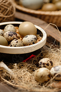 免抠羽毛素材碗盛鹌鹑蛋鸡蛋背景