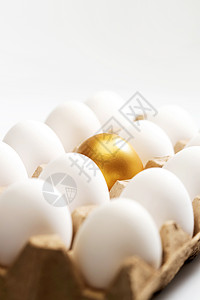 一盒鸡蛋中的金蛋高清图片