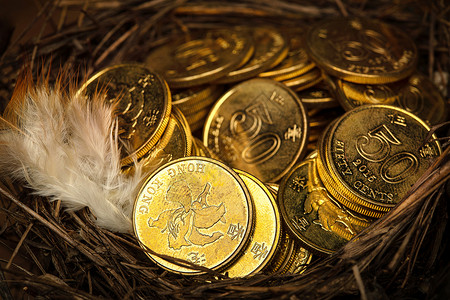 鸟巢里的金币背景图片