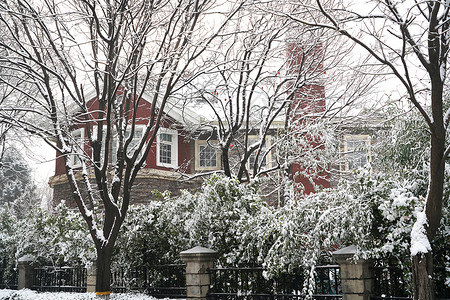 下雪后的湖边和山上风景高清图片